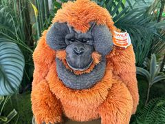 -ZOO COFFEE动物园咖啡(红山森林动物园店)