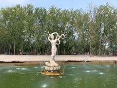 -微山湖红荷湿地景区