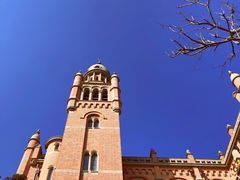 -上海佘山国家森林公园西佘山园