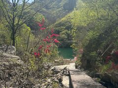 -青龙山生态文化旅游区(慈云寺)