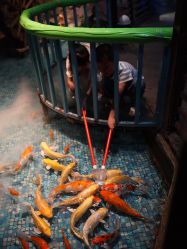 -酷嗒动物文化乐园(cutezoo西溪乐天城店)