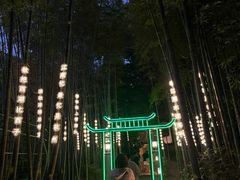 -杭州黄龙洞
