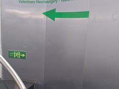 -爱侣宠医·鹦鹉专科·小型哺乳类·异宠专科(灵石路店)