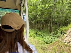 -洛阳白云山景区