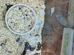 -双季花艺园艺市场(浦东店)