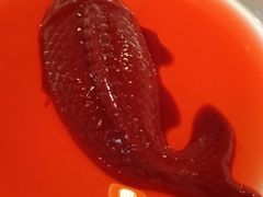 -大院小院传统火锅·小酒馆(北城天街店)