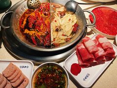 -小龙坎火锅(全球旗舰店)