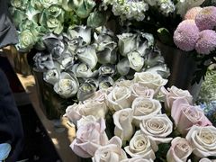 -循礼门鲜花花市(武汉循礼门店)