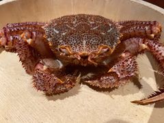 -蟹田居·活蟹料理(东城店)