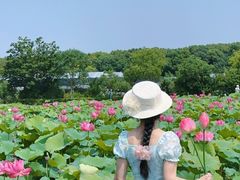 -嘉北郊野公园