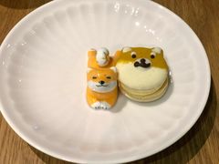 -柴务处·柴犬主题狗咖