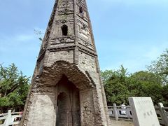 -上海佘山国家森林公园天马山园