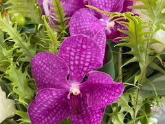 -花到家(富贵鸟花艺行)