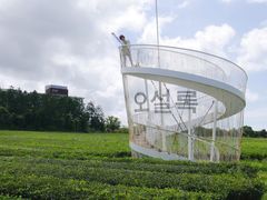 -雪绿茶博物馆