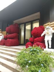 -Dr.U博士医疗美容医院