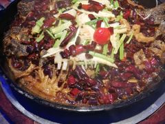 -老板恋上鱼(恒隆广场店)