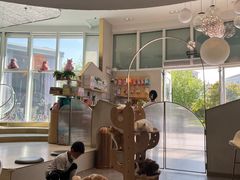 -飞行喵MR PILOT|猫舍·猫咖(静安大融城店)
