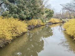 -上海滨江森林公园