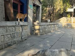 -四门塔风景区