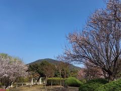-名豪品鲜荟(云亭店)
