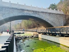 -白水寺森林公园