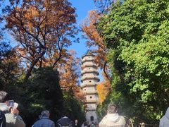 -灵谷景区