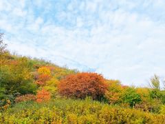 -北京西山国家森林公园