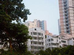 -福田农产品批发市场有限公司蔬菜交易区