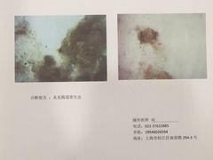 -心语宠物医院·急重症转诊中心·瑞辰华诺(南青路店)
