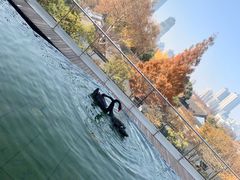 -行者书屋大堂吧 ·下午茶(南京圣和府邸酒店)