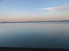 -大湾区中央湿地公园