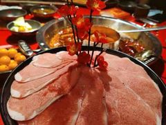-谭鸭血老火锅(万象九宜城店)