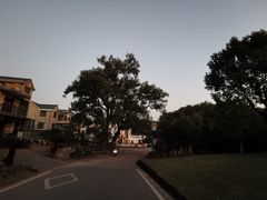 -清漾毛氏文化村