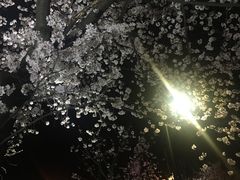 -海底捞火锅(方塔东街店)