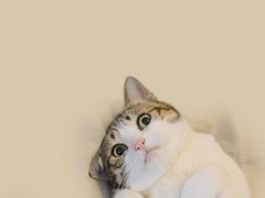 -糖潮糖水铺(省府店)