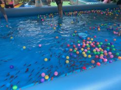 -萌宠亲子动物乐园(槐房万达店)