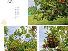 -南宁花花大世界景区