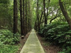 -同里国家湿地公园