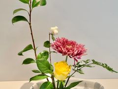 -普素书咖茶空间