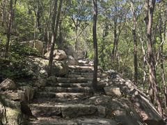 -大岭沟猕猴桃谷风景区