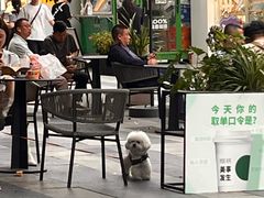 -海底捞火锅(龙首印象城店)