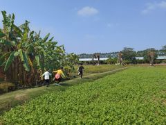 -迪茵湖田家舍生态农场