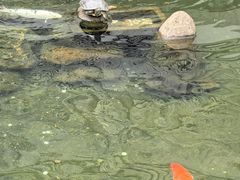 -清漾毛氏文化村