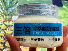 -白色日记·手作酸奶(麦凯乐店)