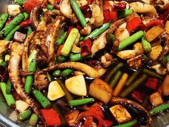 -佬肥猫(七宝宝龙店)