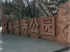 -木塔寺遗址生态公园