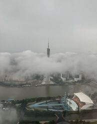 -圣贝拉母婴护理中心(广州瑰丽店)