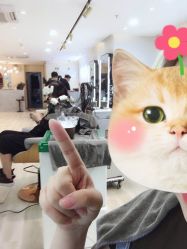 -新晨·SALON·形象造型