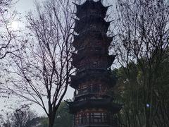 -上海佘山国家森林公园西佘山园