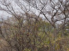 -沈阳辉山风景区